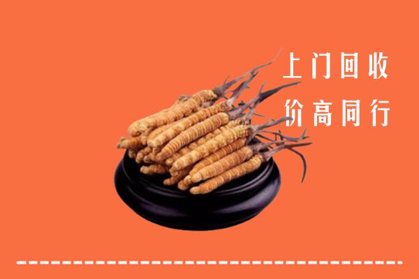 高价求购：大安回收散虫草