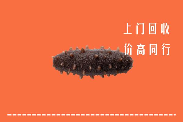 高价求购：大安回收海参